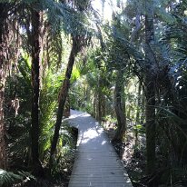 2025-04-06_15-14-16_663